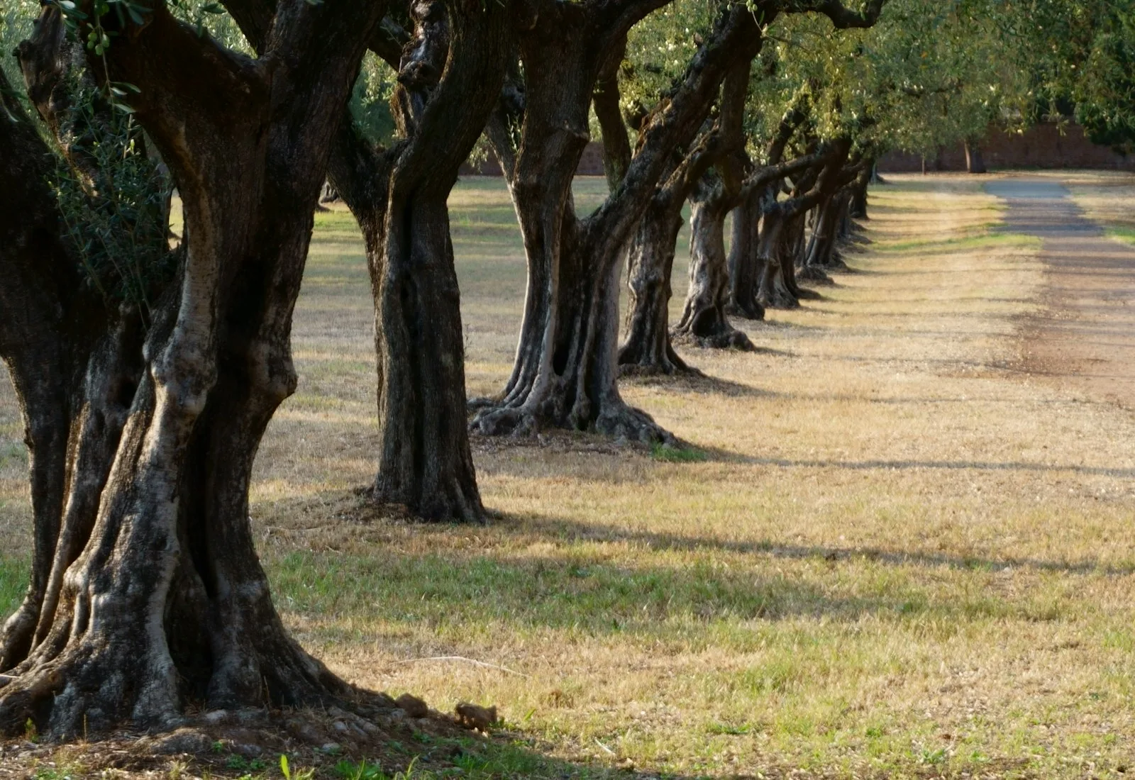 Paysage et produits de Calabre